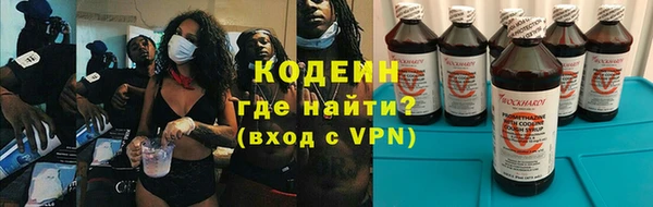 прущие грибы Алзамай