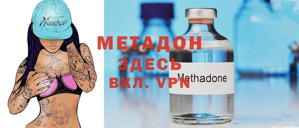 прущие грибы Алзамай
