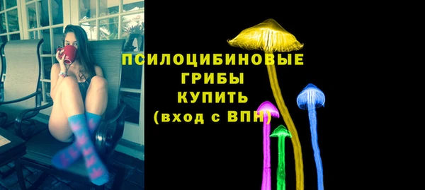 прущие грибы Алзамай