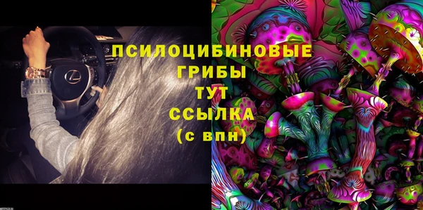 амф Алексин