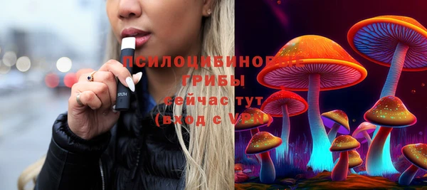 прущие грибы Алзамай