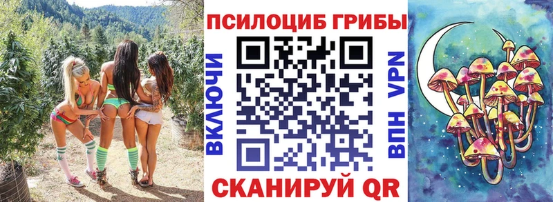 blacksprut tor Старая Купавна Псилоцибиновые грибы MAGIC MUSHROOMS