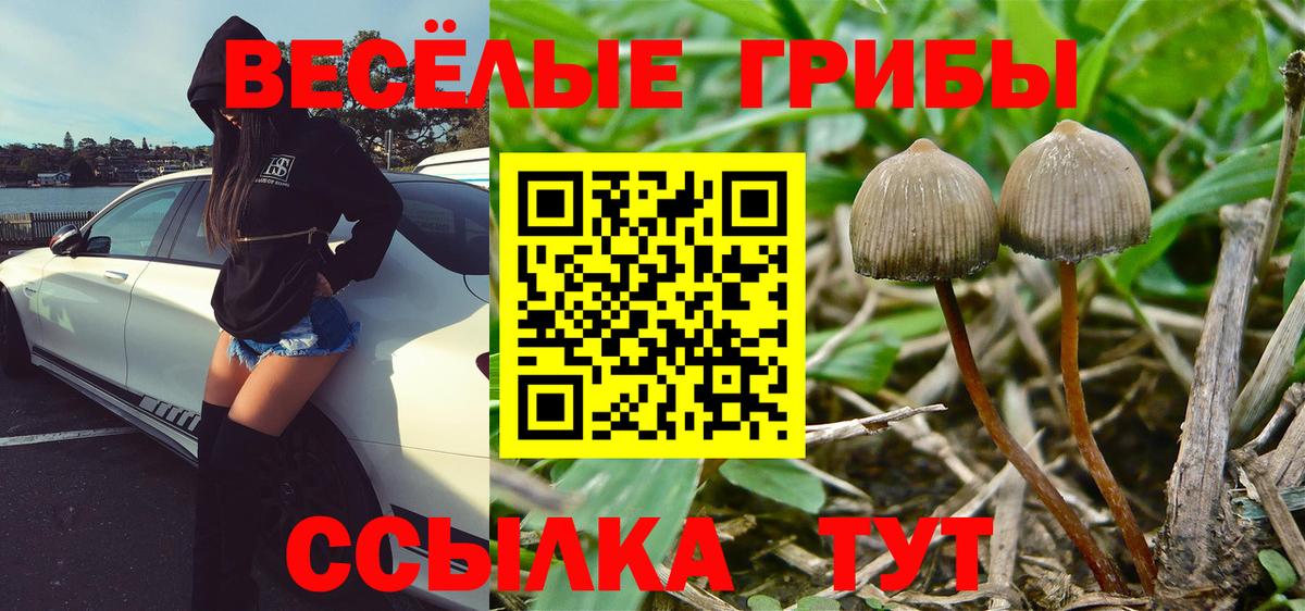 Галлюциногенные грибы Psilocybine cubensis  Псилоцибиновые грибы GOLDEN TEACHER  Старая Купавна  магазин продажи наркотиков  Вход с VPN 